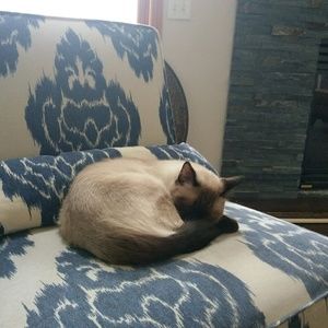 Meet your Posher, Shannon